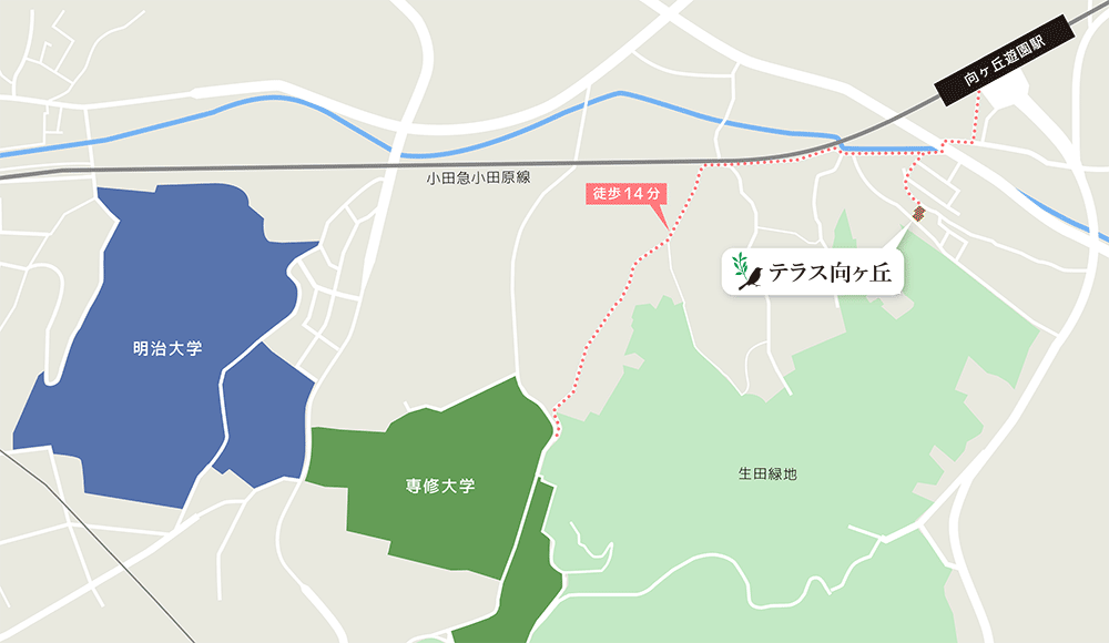 テラス向ヶ丘と専修大学・明治大学との距離